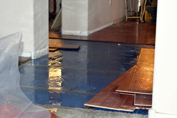 Professional Basement Flood Cleanup technician working in Rhinelander, WI